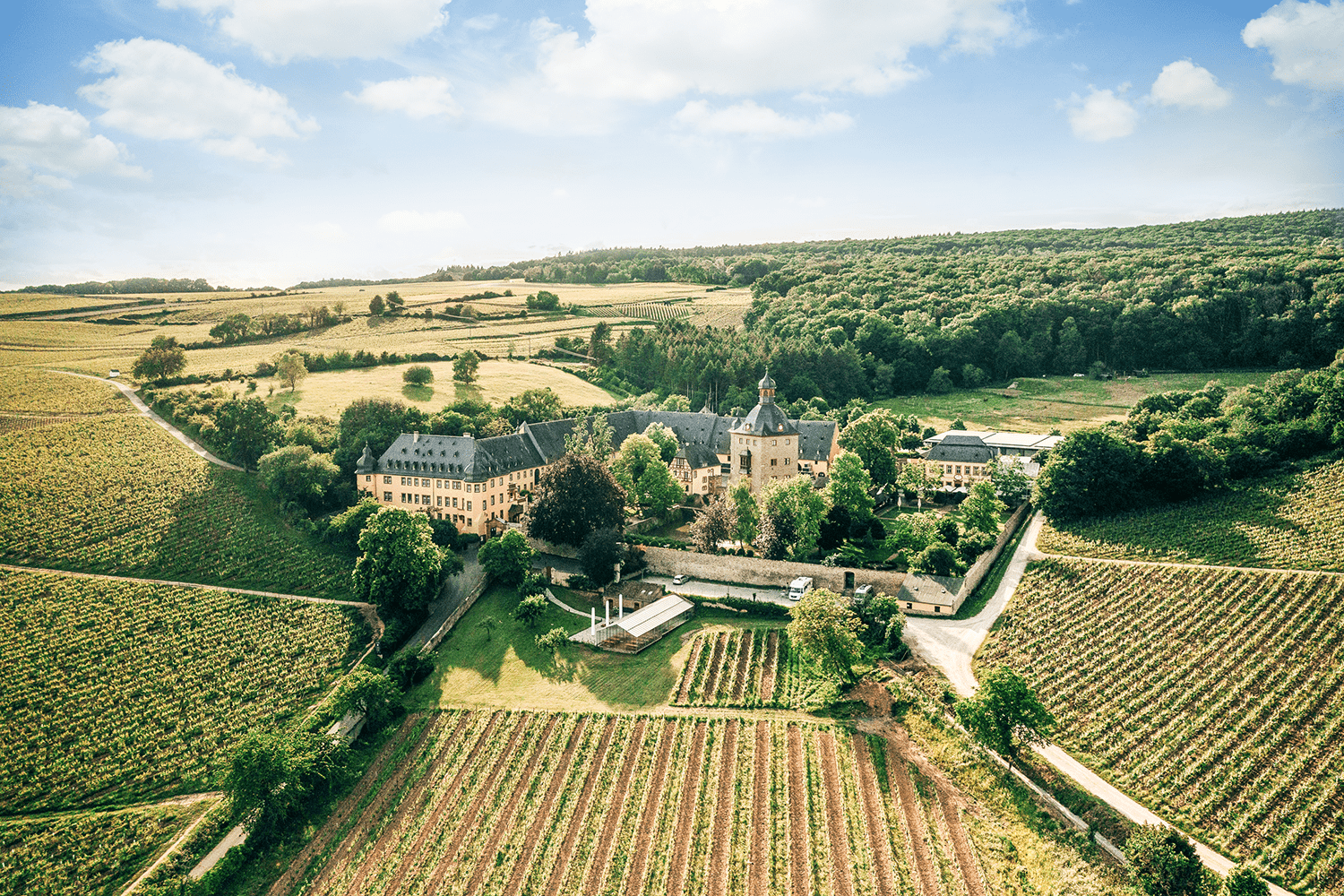Weingut Schloss Vollrads Luftbild